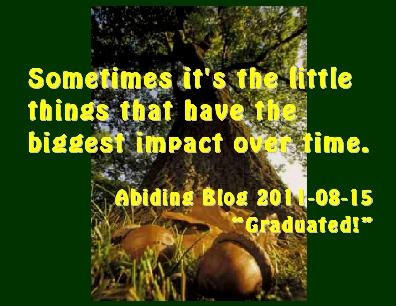 Sometimes it's the little things that have the biggest impact over time. #LittleThing #BigImpact #AbidingBlog2011Graduated